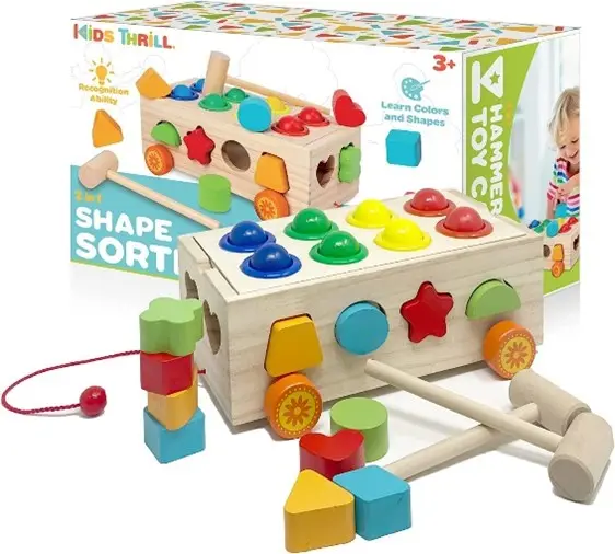 Deals Oasis Recalls Shape Sorter Car Toys Due to Choking Hazard; Violation of Small Parts Requirements; Risk of Serious Injury or Death: Recalled Shape Sorter Toy, photo 1 of 2