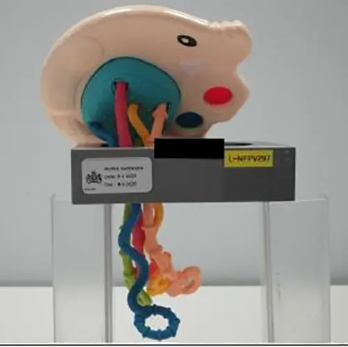 Little elephant pull box, photo 4 of 4
