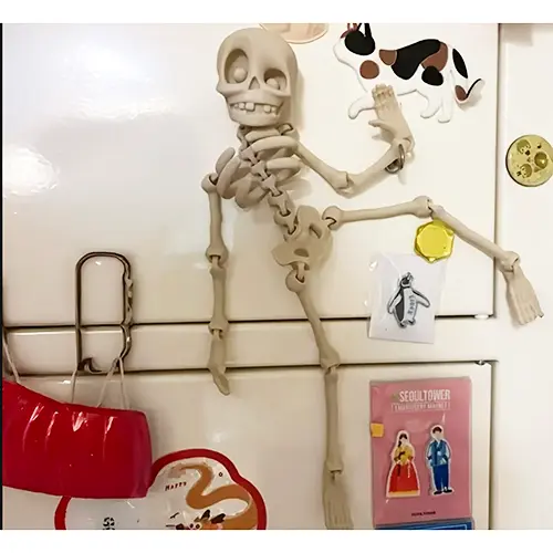 Skeleton refrigerator magnet