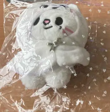 Porte clé en peluche Stray Kids Skzoo, photo 4 of 4